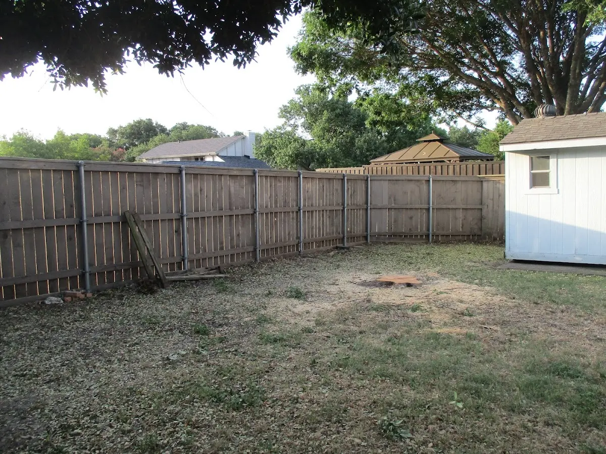 Cleared yard after professional tree removal in Mount Vision